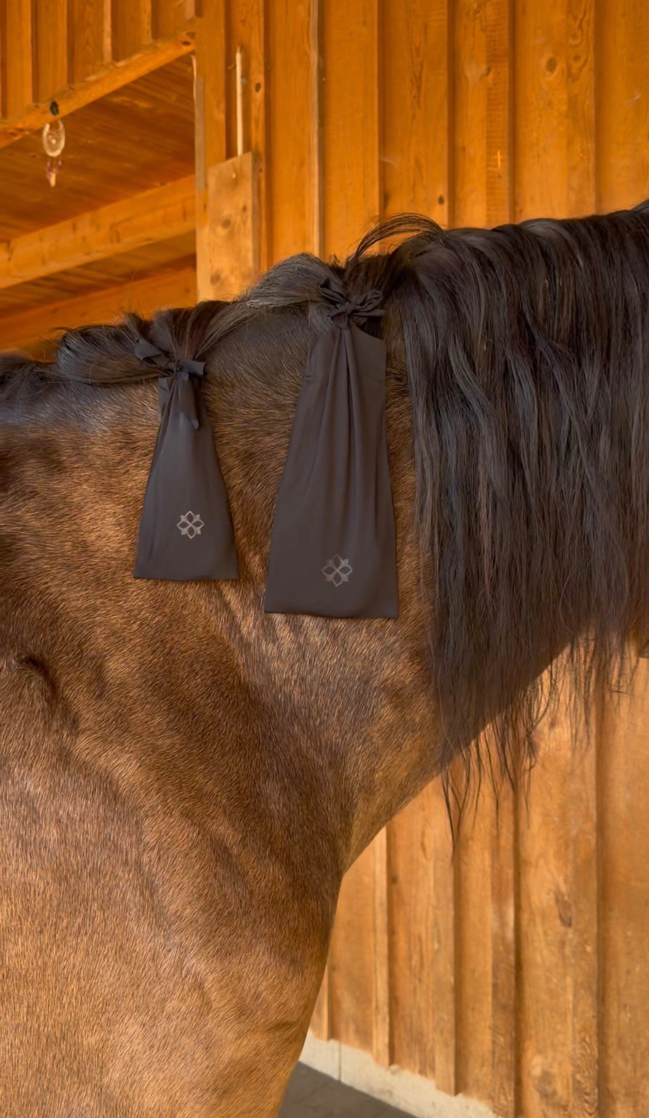 Mähnensäckchen 3er-Pack Schwarz Größe Medium